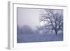 Buffalo River 40-Gordon Semmens-Framed Photographic Print