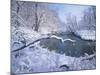 Buffalo River 41-Gordon Semmens-Mounted Photographic Print