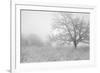 Buffalo River 43-Gordon Semmens-Framed Photographic Print