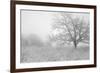 Buffalo River 43-Gordon Semmens-Framed Photographic Print