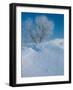 Buffalo River 44-Gordon Semmens-Framed Photographic Print