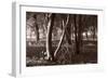 Buffalo River 4-Gordon Semmens-Framed Photographic Print