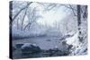 Buffalo River 51-Gordon Semmens-Stretched Canvas