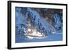 Buffalo River 52-Gordon Semmens-Framed Photographic Print