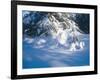 Buffalo River 53-Gordon Semmens-Framed Photographic Print