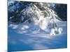 Buffalo River 53-Gordon Semmens-Mounted Photographic Print