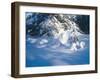 Buffalo River 53-Gordon Semmens-Framed Photographic Print