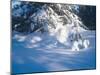 Buffalo River 53-Gordon Semmens-Mounted Photographic Print