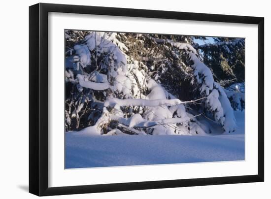 Buffalo River 54-Gordon Semmens-Framed Photographic Print