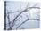 Buffalo River 57-Gordon Semmens-Stretched Canvas