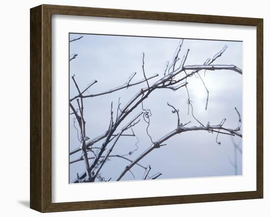 Buffalo River 57-Gordon Semmens-Framed Photographic Print