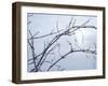 Buffalo River 57-Gordon Semmens-Framed Photographic Print