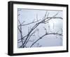 Buffalo River 57-Gordon Semmens-Framed Photographic Print