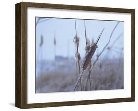 Buffalo River 60-Gordon Semmens-Framed Photographic Print