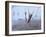 Buffalo River 60-Gordon Semmens-Framed Photographic Print