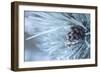 Buffalo River 64-Gordon Semmens-Framed Photographic Print