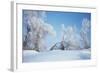 Buffalo River 65-Gordon Semmens-Framed Photographic Print