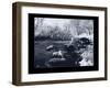 Buffalo River-Gordon Semmens-Framed Giclee Print