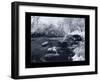 Buffalo River-Gordon Semmens-Framed Giclee Print
