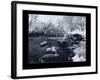 Buffalo River-Gordon Semmens-Framed Giclee Print