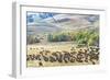 Buffalo Round-Up, Custer State Park, South Dakota-null-Framed Photographic Print