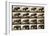 Buffalo Running, Animal Locomotion Plate 700-null-Framed Giclee Print