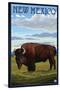 Buffalo Scene - New Mexico-Lantern Press-Stretched Canvas