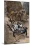 Buffalo Soldier and His Horse Taking a Tumble from the Trail, 1880s-null-Mounted Giclee Print