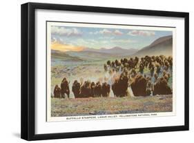 Buffalo Stampede, Yellowstone National Park-null-Framed Art Print