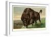 Buffalo Stamping-null-Framed Art Print