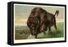 Buffalo Stamping-null-Framed Stretched Canvas