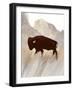 Buffalo Sunset Hill II-Dan Meneely-Framed Art Print