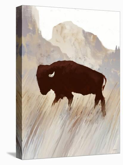 Buffalo Sunset Hill II-Dan Meneely-Stretched Canvas