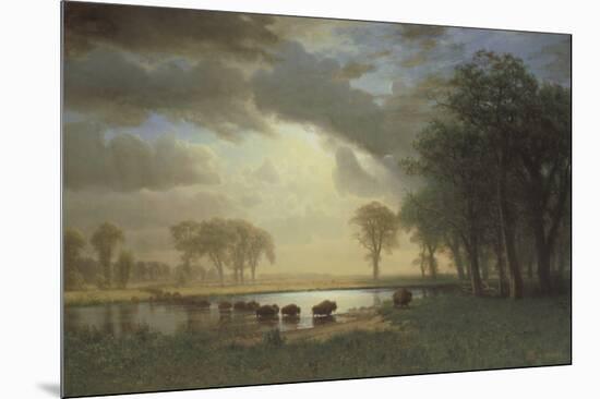 Buffalo Trail c.1867-Albert Bierstadt-Mounted Art Print