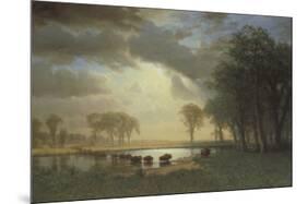 Buffalo Trail c.1867-Albert Bierstadt-Mounted Art Print