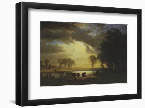 Buffalo Trail c.1867-Albert Bierstadt-Framed Art Print