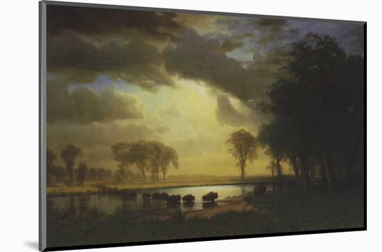 Buffalo Trail c.1867-Albert Bierstadt-Mounted Art Print