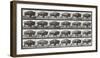 Buffalo Walking-Eadweard Muybridge-Framed Giclee Print