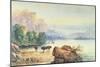 Buffalo Watering, 1887-Thomas Moran-Mounted Giclee Print