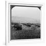 Buffalo, Yellowstone National Park, Usa-HC White-Framed Photographic Print