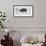 Buffalo-Trent Foltz-Framed Giclee Print displayed on a wall