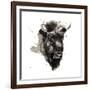 Buffalo-Philippe Debongnie-Framed Giclee Print