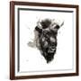 Buffalo-Philippe Debongnie-Framed Giclee Print