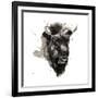 Buffalo-Philippe Debongnie-Framed Giclee Print