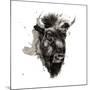 Buffalo-Philippe Debongnie-Mounted Giclee Print