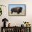 Buffalo-DLILLC-Framed Stretched Canvas displayed on a wall