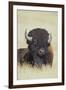 Buffalo-DLILLC-Framed Photographic Print