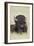 Buffalo-DLILLC-Framed Photographic Print