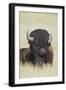 Buffalo-DLILLC-Framed Photographic Print