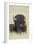 Buffalo-DLILLC-Framed Photographic Print